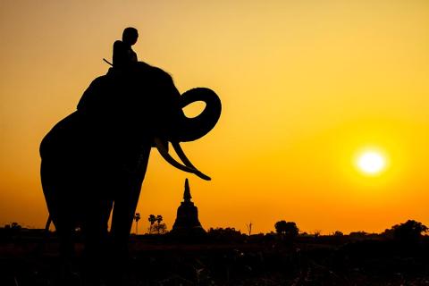 A silhouette of an elephant in Thailand at sunset
