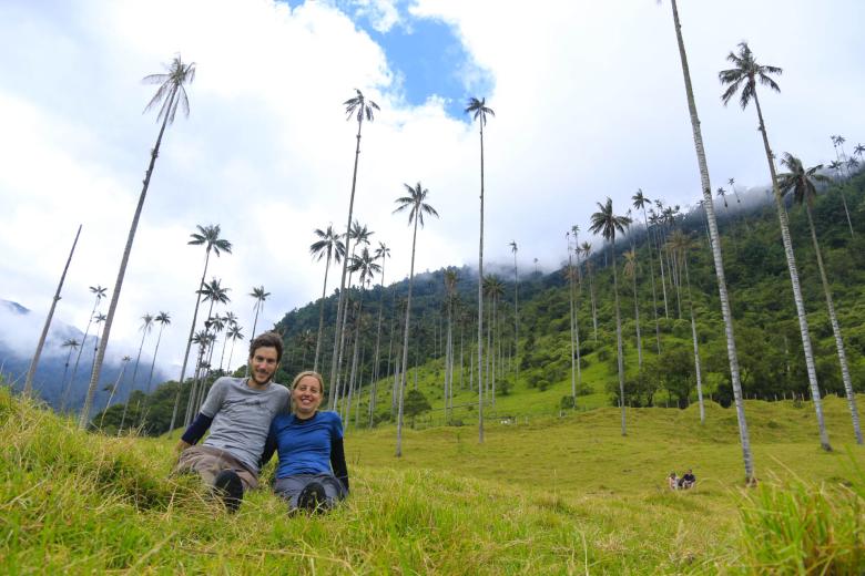 Visiter la Colombie : les palmiers les plus hauts du monde à Salento